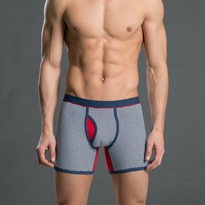 Wholesale-Mens Low-Rise Cotton Stretch stripe Boxer Underwear for Man Long Leg Boxer 6 colors BO001