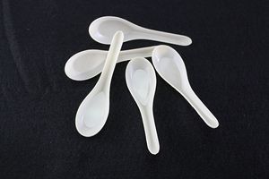 3000 Pieces Asian Soup Spoons Saimin Ramen White Plastic Spoon Outdoor Disposable Spoons Dining Food Sale Fast Free Shipping