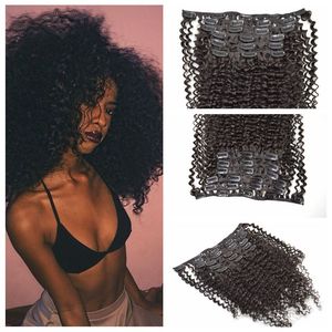 Indisches Echthaar, Afro-Kurven-Clip-in-Echthaarverlängerungen, 20,3–61 cm, kein Ausfallen, kein Verheddern, indischer Clip-in-Clip in lockigem Haar, G-EASY