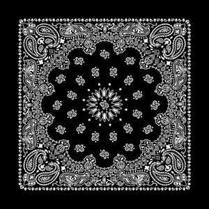 hotsale 55x55CM high quality hip hop printed cotton bandana unisex head scarf free and fast express delivery