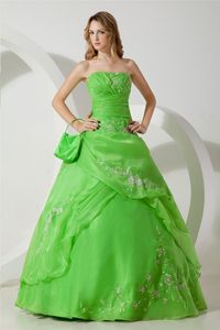 2017 Ny mode grön broderi A-Line Quinceanera klänning med Sequin Ökar Organza Plus Storlek Sweet 16 Dress Vestido Debutante Gowns BQ66