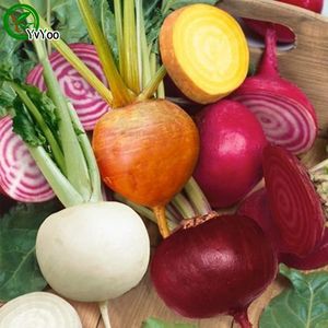 Wholesale vegetables organic resale online - 30 particles bag MIX Beetroot seeds garden plant organic Vegetable Seeds Easy To Grow P04