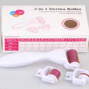 3 in 1 Micro Needle Derma Skin Roller in lega di titanio con 3 rulli separati per la cura della pelle micro aghi