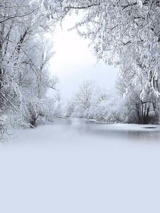 Schneebedeckte Bäume, gefrorener Fluss, Fotografie-Hintergrund, Vinyl, Winter, malerische Tapete, Kinder, Kinder, Urlaub, Fotoshooting, Hintergrund für Studio