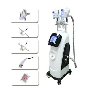 2019 mais novas alças coolshaping cryolipolysis cavitação RF lipo máquina a laser duplo Cryolipolysis multifunções emagrecimento congelamento de gordura