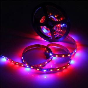 LED Grow Lights DC12V Growing LED Strip 5050 SMD Non-waterproof IP20 Plant Growth Light for Greenhouse Hydroponic plant