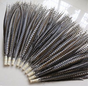 20 pcs de alta qualidade original senhora natural penas de faisão Amher 4 - 44 polegada / 10 - 110 cm decorado penas de faisão DIY