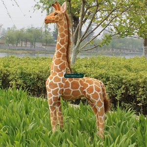 Dorimytrader Real Pictures! 55'' / 140cm Huge Soft Stuffed Cute Large Plush Simulated Animal Giraffe Toy Nice Gift Free Shipping DY60313