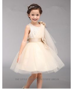 Новый стиль ребенка от 2 до 4 новорожденных девочек платье косплей костюм золушка свадебные платья новорожденных девочек принцесса ну вечеринку платье свадебные платья