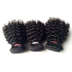 Brazilian Virgin human Hair sexy inch Kinky Curly hair extension High Quality Factory price Indian remy Human Hair double weft