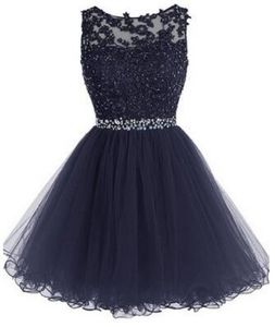 Atemberaubendes kurzes Ballkleid in Schwarz, Hellblau, Vintage-Spitzenapplikationen, transparenter Bateau-Ausschnitt, offener Rücken, formelle Partykleider für das Sweet 16, Kristalle und Schärpe