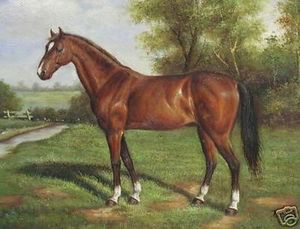 High Quality Handpainted Classic Art oil Painting On Canvas Museum Quality ,Horse ,In Multi Size chosen