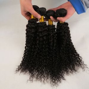Malaysiska hårförlängningar Dubbel väft Kinky Curly Obehandlat Hårväv Peruvian Curly Hair Mix Length 8 