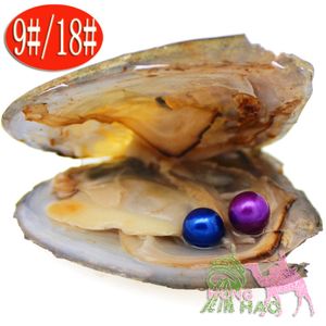 淡水パールパールカキ、包装、6~7 mm二重円形真珠のムール貝の貝殻、28色