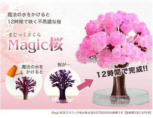 iWish 2017 Visual 14x11cm Pink Big Grow Magic Paper Sakura Tree Kit di alberi che crescono magicamente giapponesi Desktop Cherry Blossom Christmas 20PCS