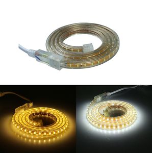 120leds / m 50M SMD 3014 led 스트립 220V Luces Tiras 220v 240v 방수 라이트 전원 플러그 무료 배송