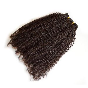 Afro perwersyjne kręcone 100% ludzkie włosy klipy brazylijski mongolski indyjski malezyjski peruwiański hairweave clips rozszerzenia