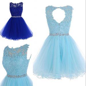 Free Shipping Cheap Dress for Graduation 2019 Fast Delivery Evening Dresses Short Royal Blue Backless Prom Dress