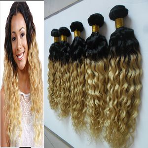 T1B / 613 ombre tessere capelli biondi 5 pacchi di capelli vergini brasiliani 500g capelli vergini crespi 5 PZ