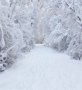 8x10ft Winter-Schnee-Fotografie-Hintergründe, weiße Straße, Outdoor-Wald, malerische Weihnachtsferien-Hintergründe für Fotostudio