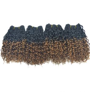 Hot Selling Ombre Curly Weave 3pcs / Lot Good Quality Peruvian Human Hair Pure Colors Dyed Extensions DHL Shipping Idag