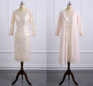 Knielanges Champagner-Spitze-Kleid für die Brautmutter mit Jackenapplikationen, lange Ärmel, Hochzeitsgastkleid, formelle Abendkleider in Übergröße