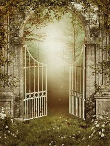 Sfondo fotografico vintage Fairy Tale Rose bianche Old Iron Gate Mysterious Forest Fotography Studio Washpaper Props Wallpaper