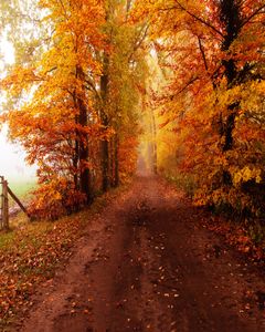 5×7フィート秋の風光明媚な写真の背景ビニールの布の木オレンジレッドカエデの葉田舎道ブースの背景フォトスタジオの背景