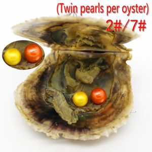 Wholesale vacuum packed 7-8mm round freshwater akoya shell twins 2 pearl oyster