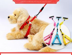 Haustier Hundehalsbänder Leinen führt einstellbare Sicherheitsgurt Blei für Katze Hund Haustier Hund Leine Zugseil