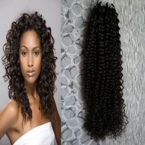 100g Natürliche Farbe Human Hair Extensions Kinky Curly Micro Loop 100% Indische Jungfrau Remy Human Hair 1g Micro Perlen Erweiterungen