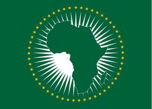 Африканский союз Флаг ft х ft Полиэстер Баннер Летучий см Пользовательский флаг на открытом воздухе