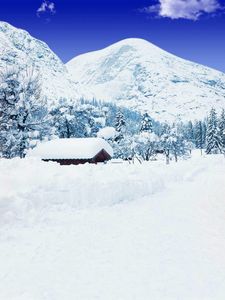 Blue Sky Snow Mountain Backdrop Vinyl Trees White Country Road Winter Holiday Scenic Photography Background Studio Photo Shoot Back Drops