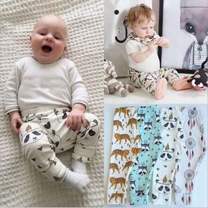 Kinder Kleidung PP Hosen Baby Ins Weihnachten Harem Hosen Kleinkind Baumwolle Mode Hosen Jungen Zitrone Leggings Mädchen Fuchs Strumpfhosen Dinosaurier obst Hose B3209