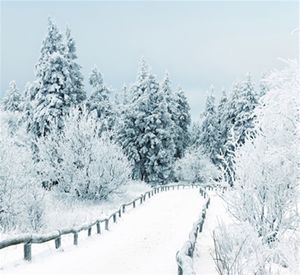 Winter-Schnee-szenische Foto-Shooting-Hintergründe, Vinyl-Stoff, weiße Landstraße, Weihnachten, Urlaub, Fotografie-Studio-Hintergründe, 3 x 3 m