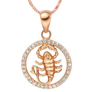 RARE 12 Zodiac Aries Taurus Gemelli Cancro Leo Virgo Bilancia Scorpius Sagittaro Capricornus Aquarius Pesci Pendente in oro collana