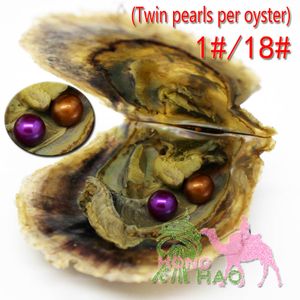 Vakuum Förpackad 7-8mm Rund Färskvatten Akoya Shell Twins 2 Pearl Oyster