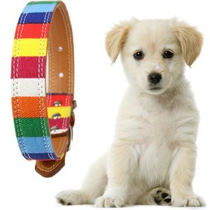 Adjustable Pet Dog collar Designer Collar For Small Medium Large Dog Leather Plain Colorful Rainbow Dog collar