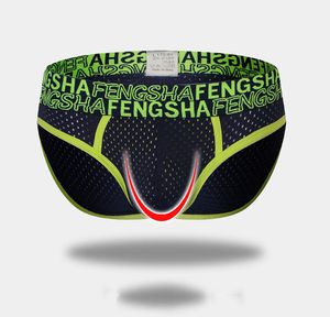 Men Briefs Mesh Underpants Hole Slips Low Waist Sexy Mens Nylon Breathable Comfortable Quick Dry Fabric U-convex Pouch Youth Brief Underwear