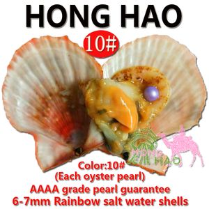 Rainbow Shell Pearl Freshwater Vacuum Packaging Oyster Pearl, Love Pearl Oyster Olika färg Pearl Mysterious Surprise Birthday Present 6-7