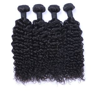 Afro Curly Brazilian Human Hair Weave Bundles Jerry Curl 100 Human Hair Extensions Double Drown Weft For Black Women