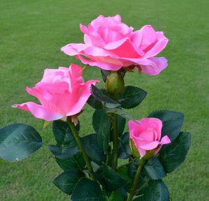 Lampada a forma di fiore di rosa a luce solare alimentata a energia solare per la lampada da notte decorativa del paesaggio del percorso del giardino del cortile Nuovo creativo