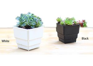 50 ADET ADEDI Toptan Solunum ve Kök büyüme için Kare Saksı Bonsai Kreş Dikim Lithops Yaratıcı Büyümek Tencere Ev Bahçe Ekici