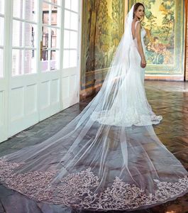 Graceful Three Meters Wedding Veils With Lace Applique Sequined Long Cathedral Length Veils One Layer Custom Made Tulle Bridal Veil