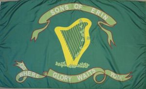 Historische Flagge des 10. TN Irish Brigade Regiment, 3 Fuß x 5 Fuß, Polyester-Banner, fliegend, 150 x 90 cm, individuelle Flagge für den Außenbereich