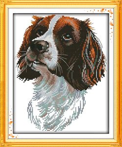 Irlandzki ustalający Malarstwo Ręcznie robione Cross Stitch Craft Narzędzia Hafty Ulotki Zestawy Liczono druk na płótnie DMC 14CT / 11CT