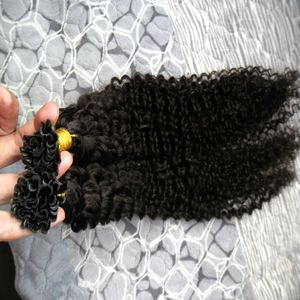 U Tip Hair keratin stick tip hair extensions kinky curly 100g 100s Natural Color u tip human hair extensions