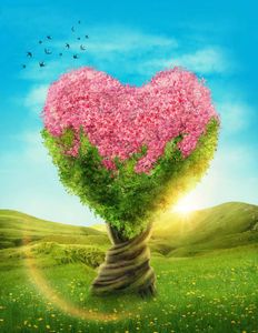 Herzförmige Baumhintergründe mit rosa Blumen, Sonnenschein, blauer Himmel, grünes Grasland, wunderschöne Frühlingslandschaft im Freien, romantischer Hochzeitshintergrund