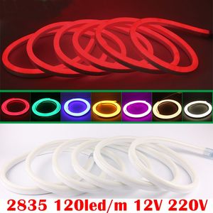 Umljus1688 AC 220V 12V LED Neon Light Flexibel Strip Hög ljusstyrka Flexibel Neon Tape Soft Tube Vattentät Utomhus med kontakt