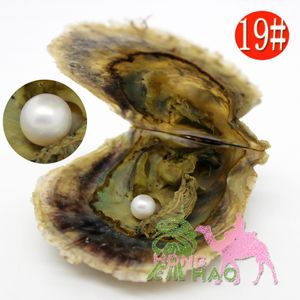 Love Pearl Oyster 4a6-7 mm Naturalna biała lawenda okrągła perła w ostrygach wód morskich z opakowaniem próżniowym